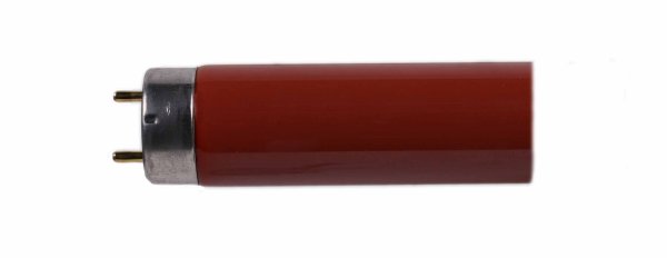 Sylvania 0002572 F18W rood 590mm