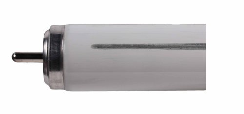 Philips TL-X XL 15W kleur 33-640 458.5mm Fa6