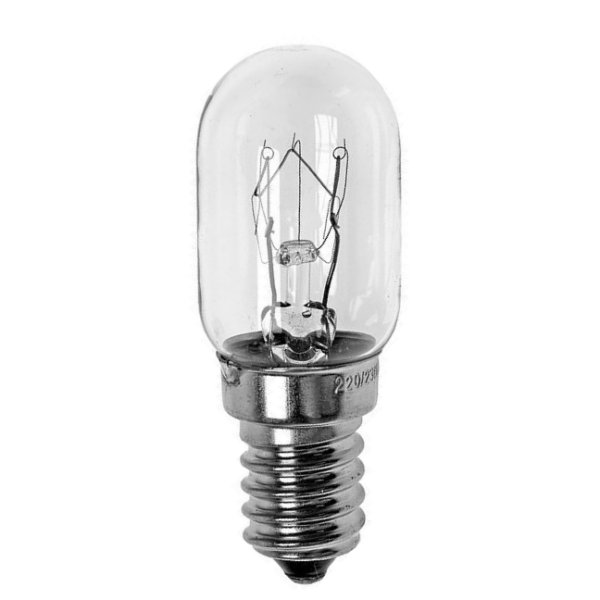 Buislamp 15W E14 240V helder 22x67mm