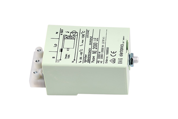 Bag 10006300 NI 2000 LE ontsteker 4kV - 5kV