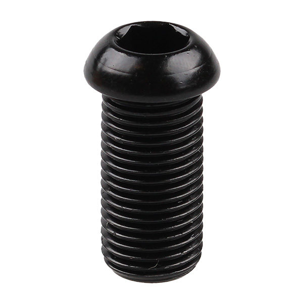 Schroef M10x1 24mm met inbuskop staal gecoat zwart