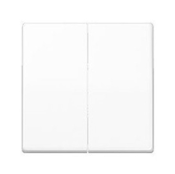 Jung AS500 wip serie alpine AS591-5WW